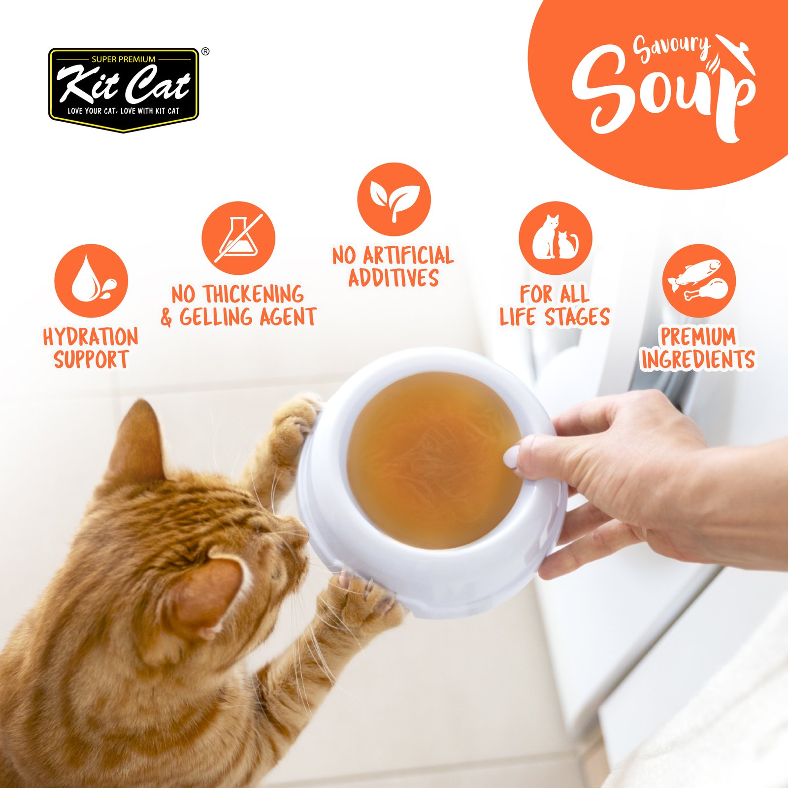 [LISTING IMAGE] SAVOURY SOUP-01.jpg